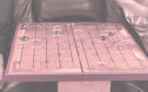 下象棋的樂(lè)趣作文