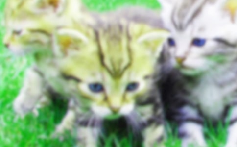 С؈��(y��u)������400���\����ƪ