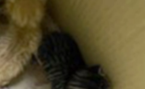 �^��С؈С�W����