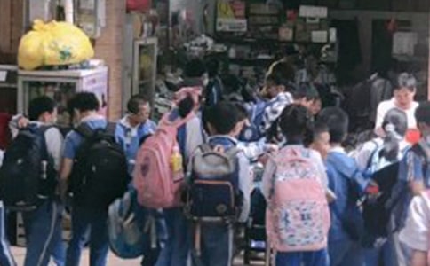 小學(xué)生昆蟲(chóng)記讀后感(必備15篇)