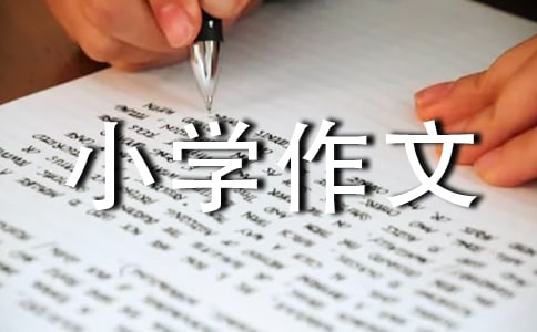 �������^(gu��)��С�W(xu��)����