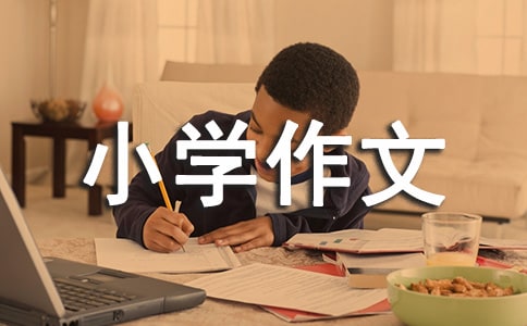 【精選】小學(xué)作文600字5篇