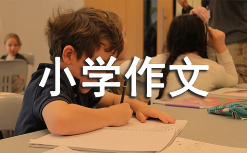 ���ҽ�BС�W(xu��)���ļ��\15ƪ