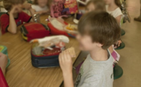 幼兒園小班英語教案詳案:誰會生蛋