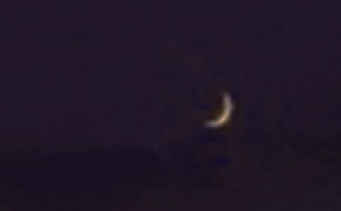 鼴鼠的月亮河讀后感精選15篇