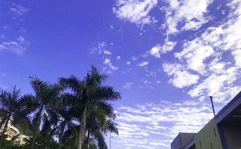 �����á�2023�����õ��簲ף���Z����ժ�46�l