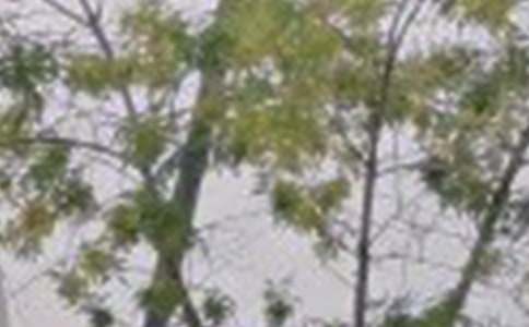 美好的早安祝福語短信合集64句