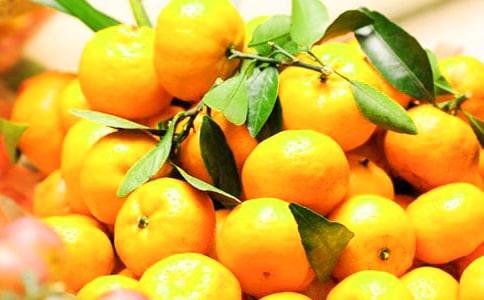 ���ӵ�����[ͨ��15ƪ]