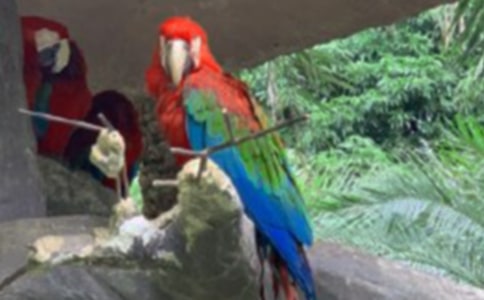 �W�^����600�փ�(y��u)��[4ƪ]