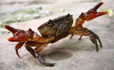 ���]�����з����