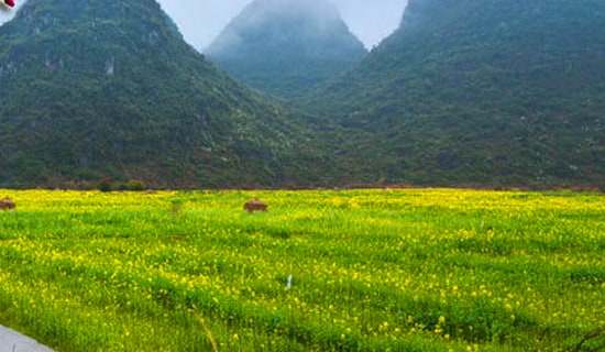 ���꼉���D��Ԓ����