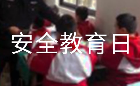 全國中小學生安全教育日總結(jié)(通用16篇)