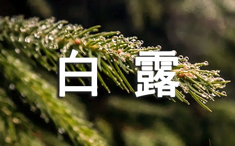 白露祝福寄語200句