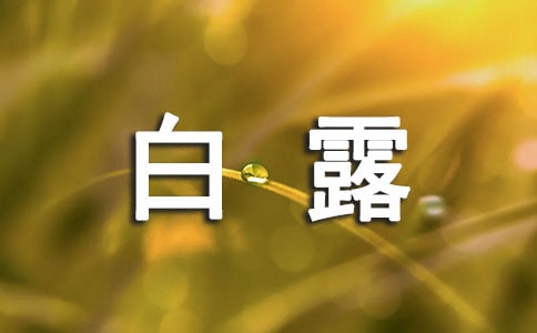 白露節(jié)氣寄語(yǔ)480句