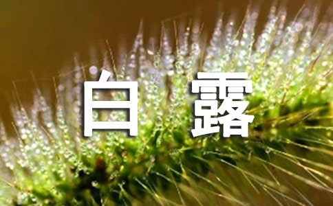 關(guān)于白露的作文