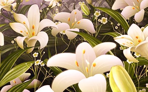 ��ϲ�g�ٺϻ���������500��