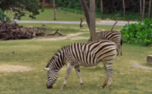 �p��A�����R�~��̥�Ķ�������