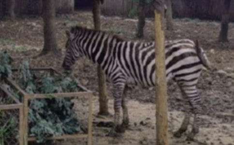 ��ȫ�̰������R������ͨ��5ƪ��