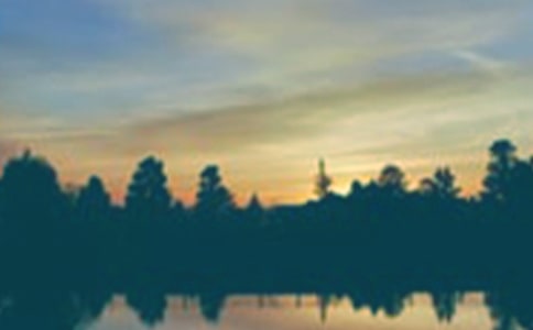 傍晚步行散文隨筆