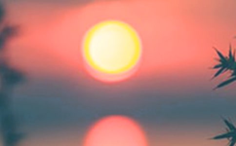 ���ݰ����ľ��Ӽ��\31�l