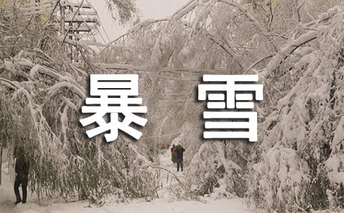 天降暴雪作文
