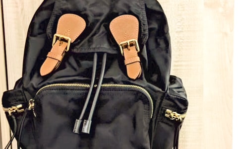 未來(lái)背包作文