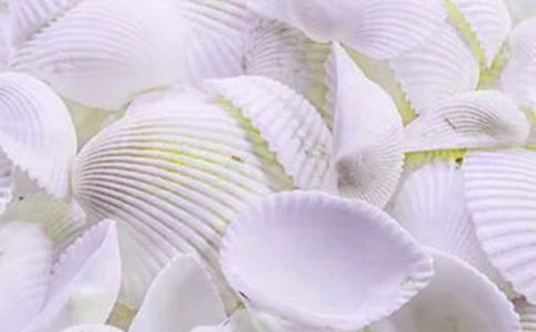 ؐ��������