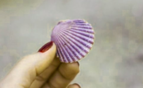 描寫海邊沙灘撿貝殼的句子200句