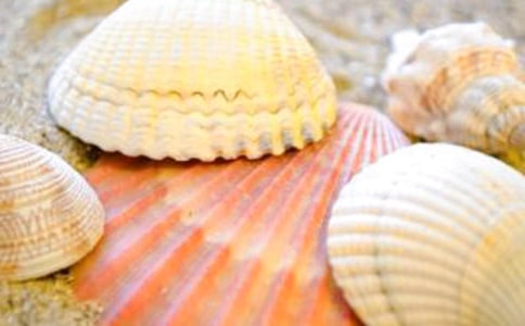 �P(gu��n)�ړ�ؐ������