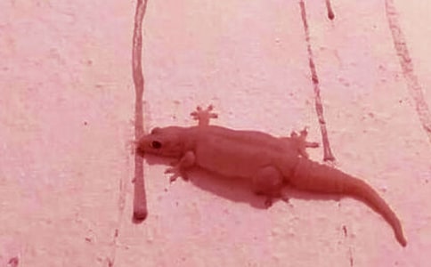 ��С�ڻ���β�͡��̰��O(sh��)Ӌ����