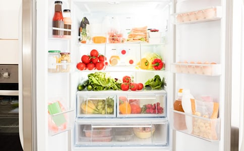 電冰箱的自述作文(15篇)