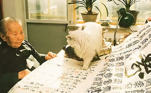 冰心散文讀后感