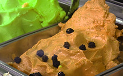 冰淇淋店最新創(chuàng)業(yè)計劃書