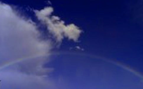 С���w���Α�̰��ʺ��