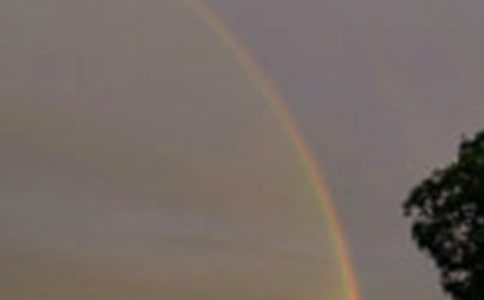 風(fēng)雨過(guò)后是彩虹作文