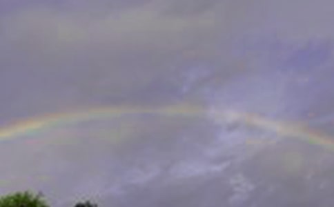 寫彩虹的作文15篇