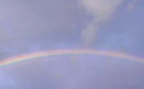 �ʺ�Ĺ�������