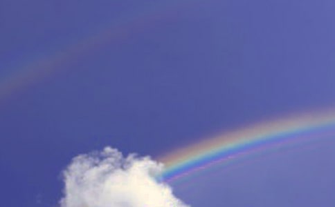 ����(y��u)�x���P(gu��n)�ڲʺ������