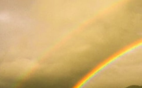 雨后的彩虹高分作文怎么寫7篇