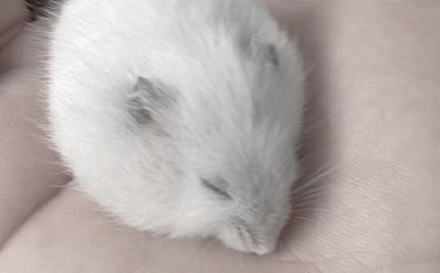 �P(gu��n)�ڂ}(c��ng)������