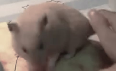 �}������600��(�؂�)