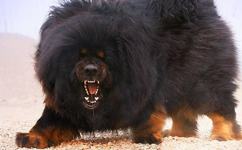 ������Ԓ,Ը�����^