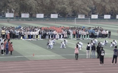 美麗的操場(chǎng)作文