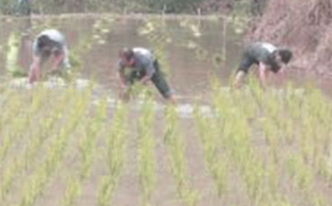 ����֮������300��