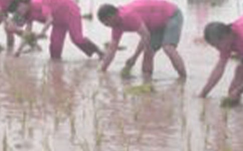 �ҌW���˲���