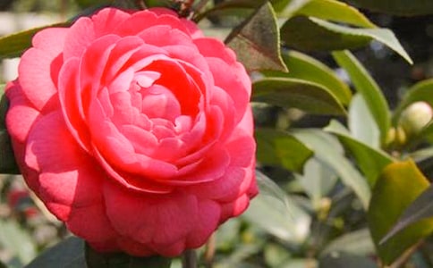 �茑�軨�ă�(y��u)����������