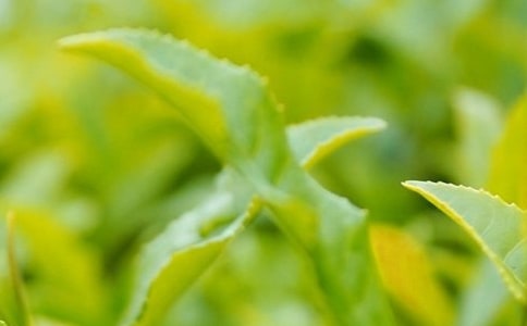 ���~ُ�I��ͬ���ӱ������x6ƪ��