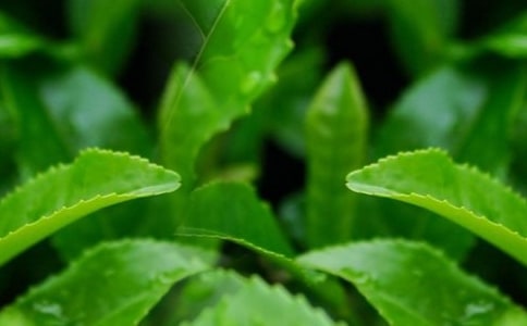 �J(r��n)�R(sh��)���~���ƌW(xu��)�̰�