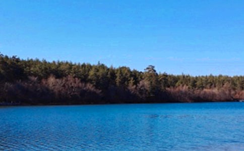 長白山寫景作文500字