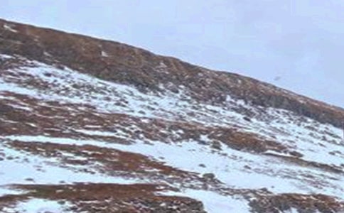 �L��ɽ��ӛ����15ƪ(���A)